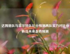 达姆施队与菲尔特队比分预测两队实力对比分析及未来走势预测