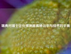 瑞典对瑞士比分预测器揭秘公平与技术的平衡