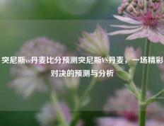 突尼斯vs丹麦比分预测突尼斯VS丹麦，一场精彩对决的预测与分析