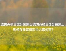 德国苏格兰比分预测王德国苏格兰比分预测王，如何在体育博彩中占据优势？
