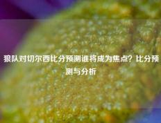 狼队对切尔西比分预测谁将成为焦点？比分预测与分析
