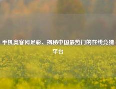 手机奥客网足彩、揭秘中国最热门的在线竞猜平台