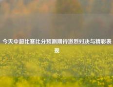 今天中超比赛比分预测期待激烈对决与精彩表现