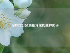 足球比分预测推介您的胜算助手