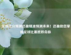 足球比分预测迈盈精准预测未来！迈盈助您掌握足球比赛胜败命脉