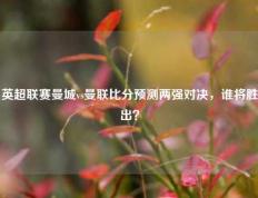 英超联赛曼城vs曼联比分预测两强对决，谁将胜出？