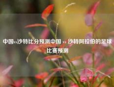 中国vs沙特比分预测中国 vs 沙特阿拉伯的足球比赛预测