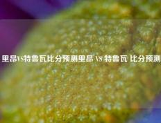 里昂VS特鲁瓦比分预测里昂 VS 特鲁瓦 比分预测