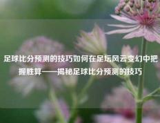 足球比分预测的技巧如何在足坛风云变幻中把握胜算——揭秘足球比分预测的技巧