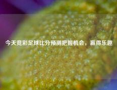 今天竞彩足球比分预测把握机会，赢得乐趣