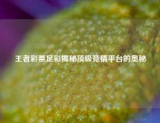 王者彩票足彩揭秘顶级竞猜平台的奥秘
