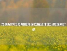 竞猜足球比分规则介绍竞猜足球比分的规则介绍