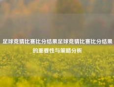 足球竞猜比赛比分结果足球竞猜比赛比分结果的重要性与策略分析