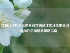 竞猜足球比分结果查询竞猜足球比分结果查询——揭秘胜负秘籍与策略指南