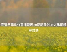 竞猜足球比分直播现场500现场实时500人见证精彩对决