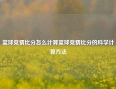 篮球竞猜比分怎么计算篮球竞猜比分的科学计算方法
