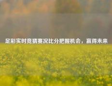 足彩实时竞猜赛况比分把握机会，赢得未来