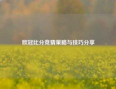 欧冠比分竞猜策略与技巧分享