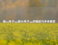 新mg电子app新MG电子app的崛起与未来展望
