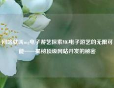网站就叫mg电子游艺探索MG电子游艺的无限可能——揭秘顶级网站开发的秘密