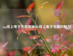 mg线上电子充值揭秘MG线上电子充值的魅力