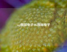 mg国际电子MG国际电子