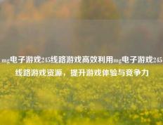 mg电子游戏245线路游戏高效利用mg电子游戏245线路游戏资源，提升游戏体验与竞争力