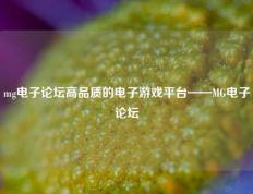 mg电子论坛高品质的电子游戏平台——MG电子论坛