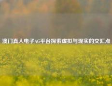 澳门真人电子AG平台探索虚拟与现实的交汇点