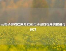 mg电子游戏程序开发MG电子游戏程序的秘诀与技巧