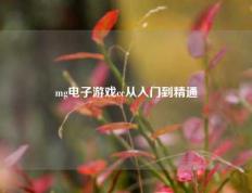 mg电子游戏cc从入门到精通