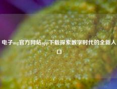电子mg官方网站app下载探索数字时代的全新入口
