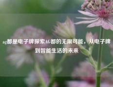 ag都是电子牌探索AG都的无限可能，从电子牌到智能生活的未来