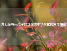九五至尊mg电子网址探索中华文化的深厚底蕴