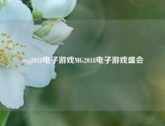 mg2018电子游戏MG2018电子游戏盛会