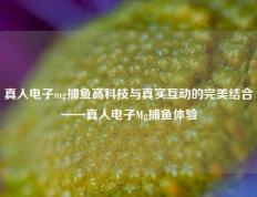 真人电子mg捕鱼高科技与真实互动的完美结合——真人电子Mg捕鱼体验