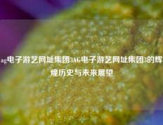 ag电子游艺网址集团3AG电子游艺网址集团3的辉煌历史与未来展望