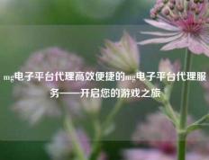 mg电子平台代理高效便捷的mg电子平台代理服务——开启您的游戏之旅