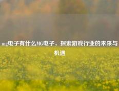 mg电子有什么MG电子，探索游戏行业的未来与机遇