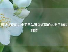 可以试玩的mg电子网站可以试玩的MG电子游戏网站