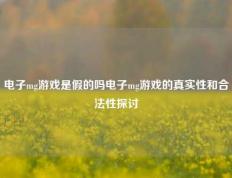 电子mg游戏是假的吗电子mg游戏的真实性和合法性探讨