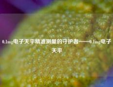 0.1mg电子天平精准测量的守护者——0.1mg电子天平
