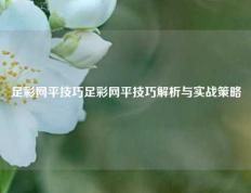 足彩网平技巧足彩网平技巧解析与实战策略