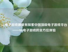 mg电子游戏哪里有探索中国顶级电子游戏平台——MG电子游戏的全方位体验