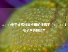 mg cl 2电子式高效能应用的镁离子（Mg^2+）电子束转换技术