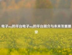电子mg的平台电子mg的平台简介与未来发展展望