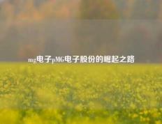 mg电子pMG电子股份的崛起之路