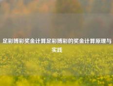 足彩博彩奖金计算足彩博彩的奖金计算原理与实践