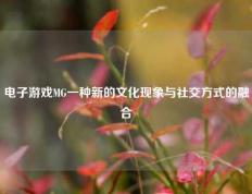 电子游戏MG一种新的文化现象与社交方式的融合
