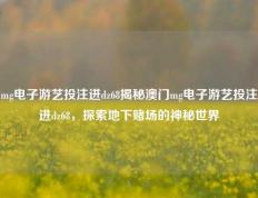 mg电子游艺投注进dz68揭秘澳门mg电子游艺投注进dz68，探索地下赌场的神秘世界